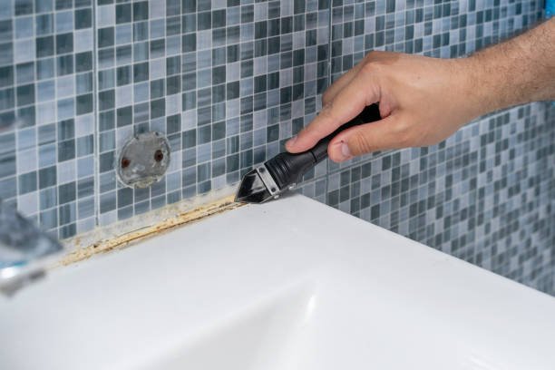 Best Mold Remediation for Schools in Panthersville, GA