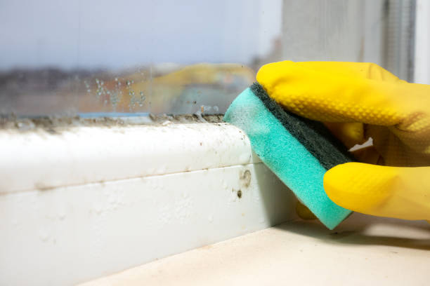 Best Mold Testing and Inspection Services in Panthersville, GA