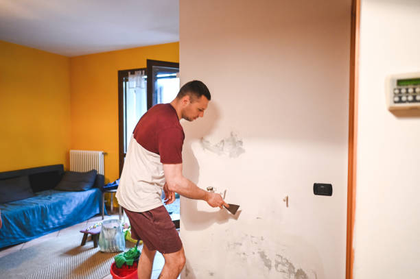 Trusted Panthersville, GA Mold Remediation Experts
